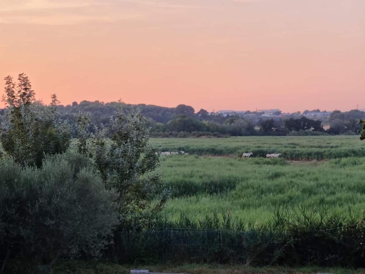 Gites De L'Estagnol Villeneuve-les-Maguelonne Luaran gambar