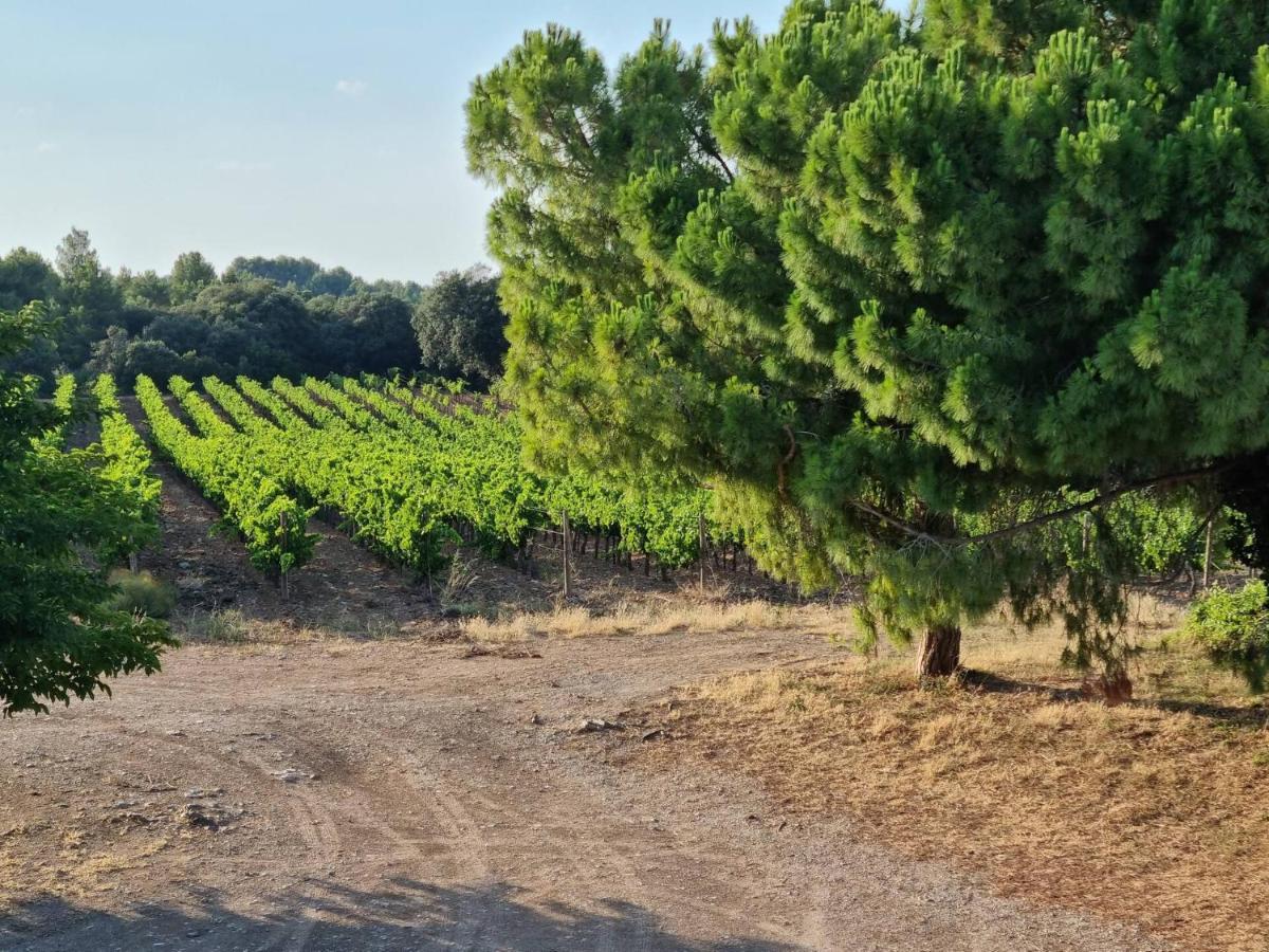 Gites De L'Estagnol Villeneuve-les-Maguelonne Luaran gambar