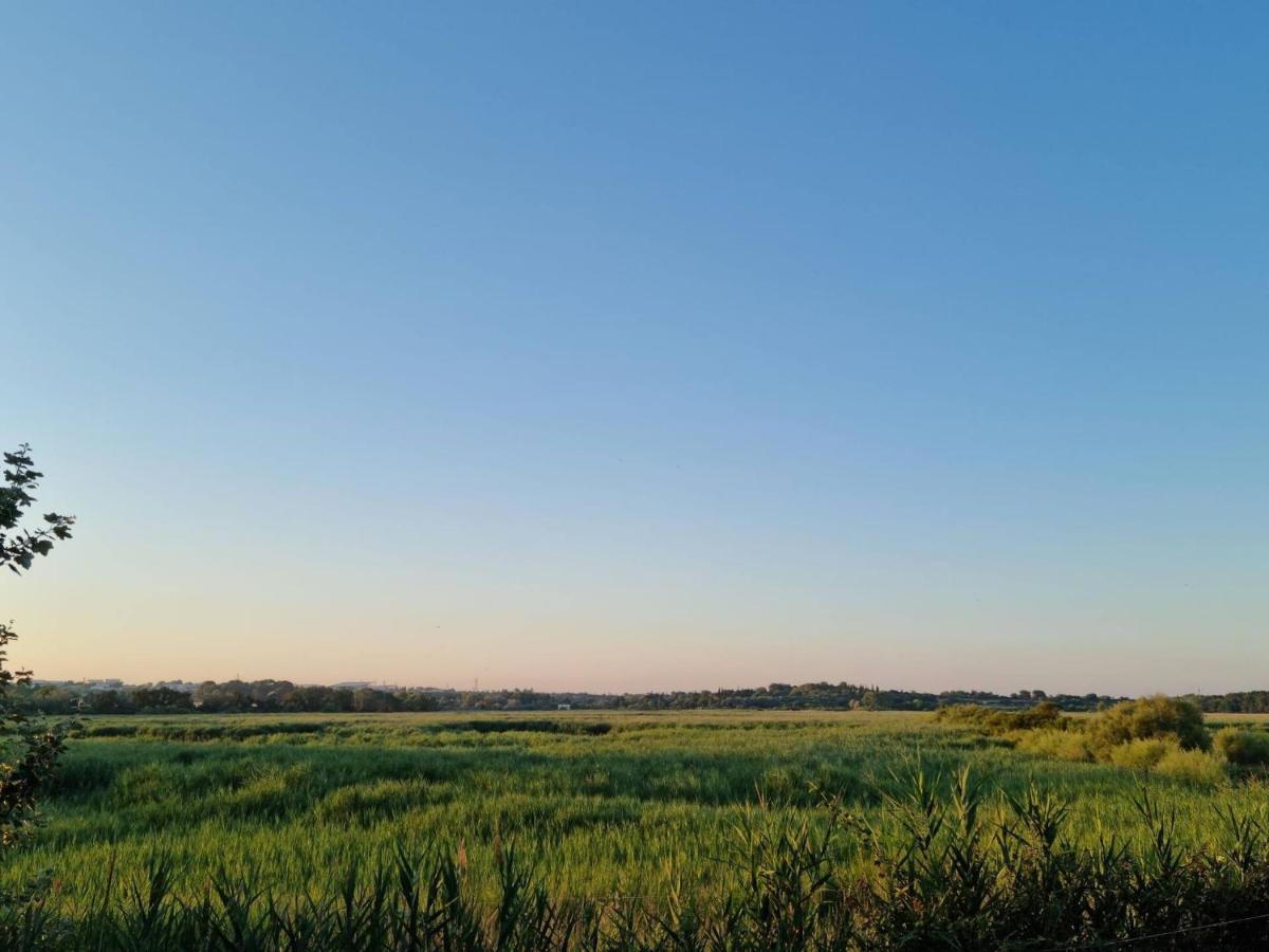 Gites De L'Estagnol Villeneuve-les-Maguelonne Luaran gambar