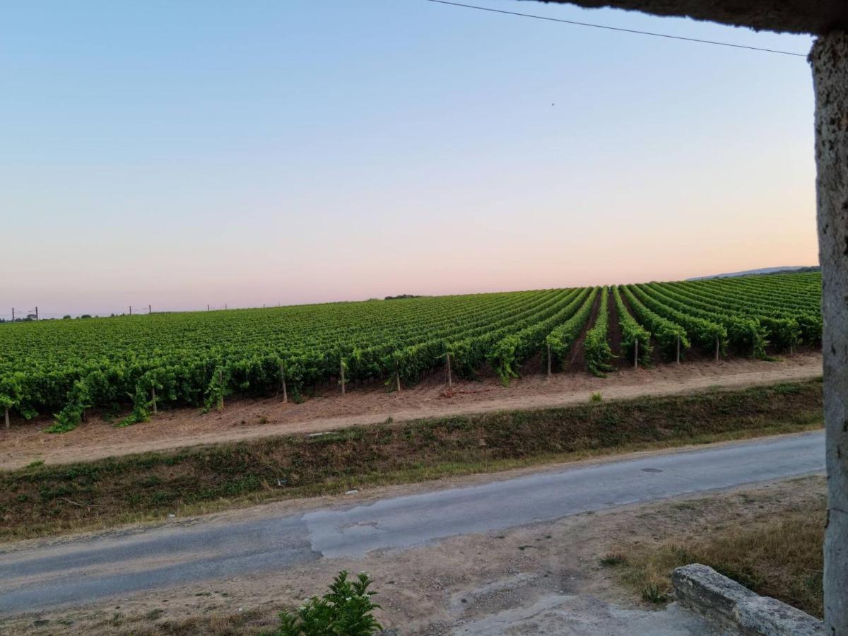 Gites De L'Estagnol Villeneuve-les-Maguelonne Luaran gambar